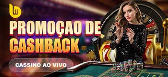 555rr bet