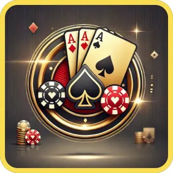 555rr bet